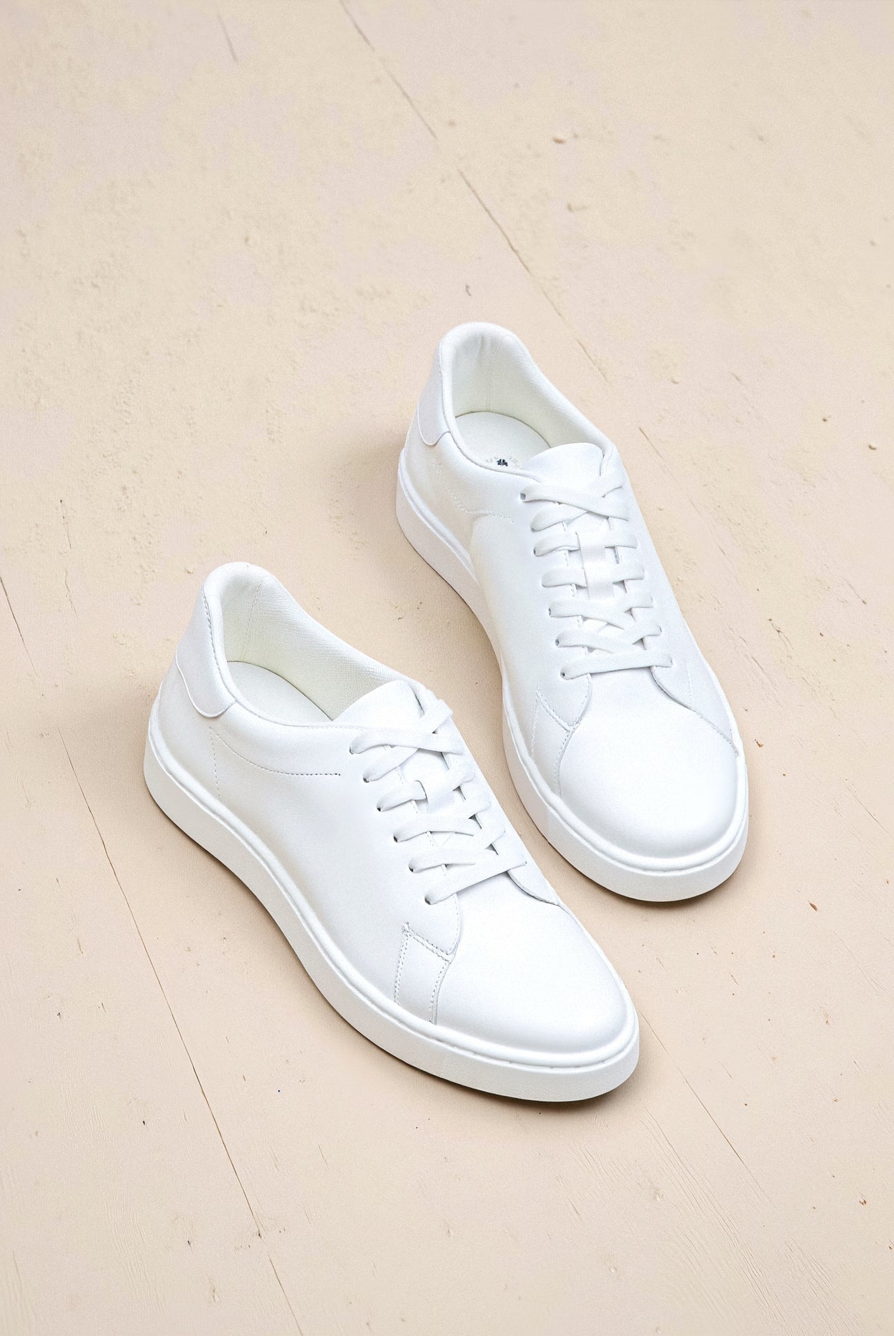Modestio Classic Sneaker